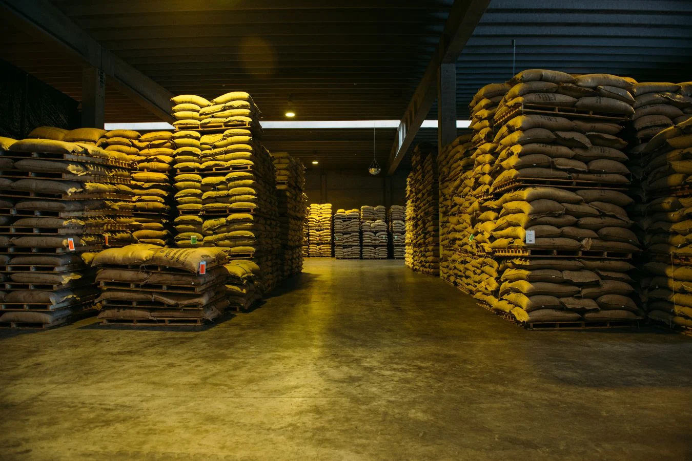 Coffee bean storage ventilation 123